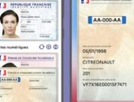 La carte grise dans France Identité. // Source : France Identité